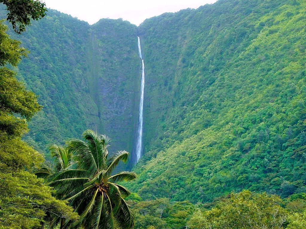 Ferienwohnung Hale “Ha Ha” Pahoa Exterior foto